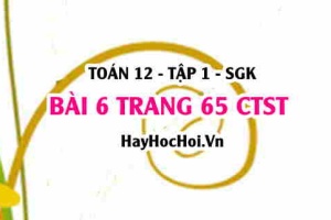 Bài 6 trang 65 Toán 12 tập 1 Chân trời sáng tạo